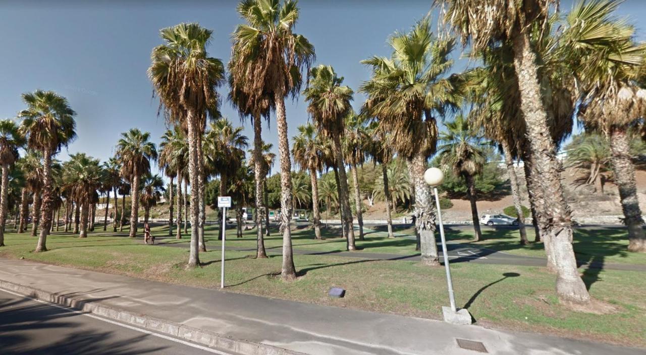 Bungalows Playa Flor, Campo Internacional, Maspalomas. 马斯帕洛马斯 外观 照片