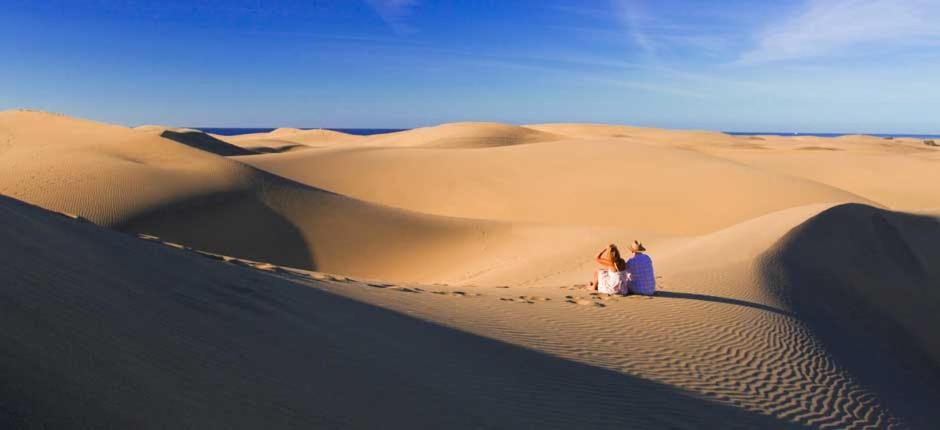 Bungalows Playa Flor, Campo Internacional, Maspalomas. 马斯帕洛马斯 外观 照片